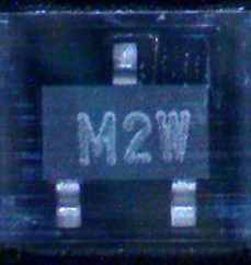 M2W.jpg