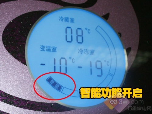 ǿ�Ʊ��� ����ԭ��̬ϵ�б����ײ�