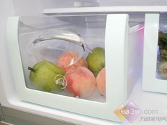 ǿ�Ʊ��� ����ԭ��̬ϵ�б����ײ�