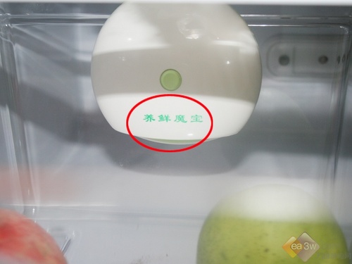 ǿ�Ʊ��� ����ԭ��̬ϵ�б����ײ�