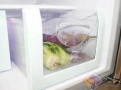 ǿ�Ʊ��� ����ԭ��̬ϵ�б����ײ�