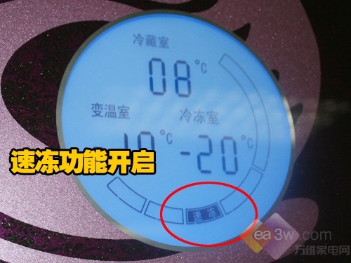 ǿ�Ʊ��� ����ԭ��̬ϵ�б����ײ�