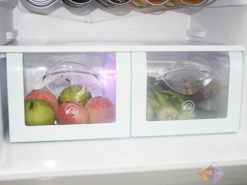 ǿ�Ʊ��� ����ԭ��̬ϵ�б����ײ�