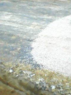 IMG0393A.jpg