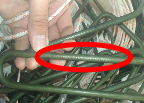 4d1a5d41ed7f6c7308934291413dac12.png