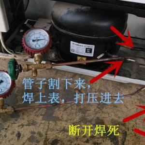 ��ʦ������̸���ޱ���������ô�ѣ�