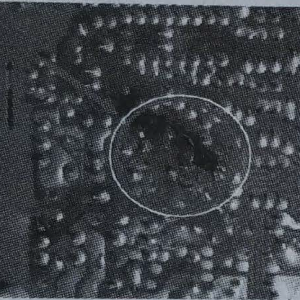 ����ATX-200SD�͵�Դ��������������ϼ���