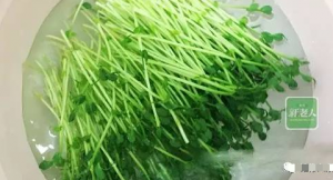 �����еĺ����ŷ��ӡ��ҼҶ���Ҫ���ղ�