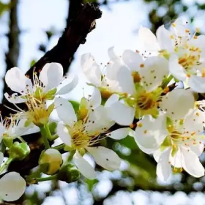 �յ�ά�޳���˼·�뷽������ʦ������̸