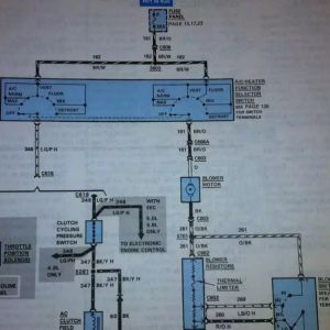 ���ῴ��·ͼ��Ŀ����޵�·�����𣿲���