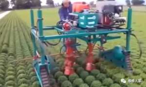 �������ⳬţX��ũҵ��е