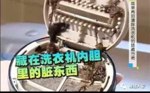 �Լ��ڼ������ϴϴ�»���ʵ��