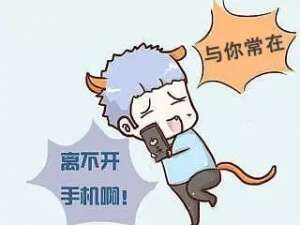 �ֻ��ĵ�졢�������ȡ����������ٽ����