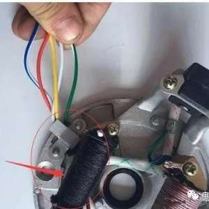 һ���ǳ�С��ë�� ��������Ų����