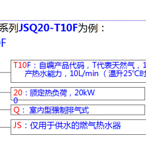 �Իݶ�������ϵ��JSQ20-T10FΪ��ȼ����ˮ���ͺ�����ԭ��