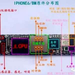 �ֻ�ά��ֻ��һֻ���ñ�����ʵʩ