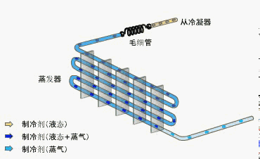 ëϸ�ܵ�6�����ص�