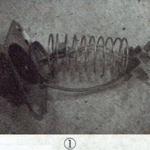 ���Ƶ緹�������ȹ��ϼ���