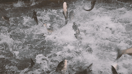 ���Ⲷ������������Ī����