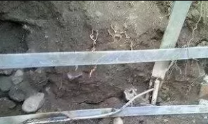 �ӵغͽ����֪ʶ��ȫ �繤��֪