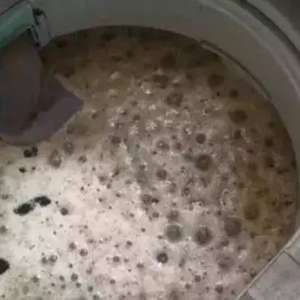 ������벻����ҵ�ϴ�»��ж�ô�࣬һ�г�����ϴ����𲡾���Ƥ������