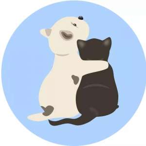 �㶫���ڵ���ʦ�������±�������̫Զ�������´����š���