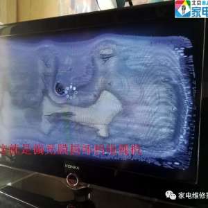 �״θ���Һ����ƫ��Ĥ����������ͬ̽��