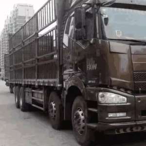 Ϊɶ�ܶ����˾��������������أ�������˵������ѣ���֪ʶ��