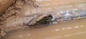 �����߽�ˮ����ò��ȷ����ڱ����ҵ�ά������