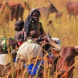 ȥ����׬Ǯ���й����ˣ�Ϊʲôϲ��Ȣ����Ů����������˵����ʵ��