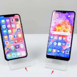 ��Ϊ��ƻ���»�����ͬʱ��������Ϊ��ͥ���У�ƻ��ȴ�������壡