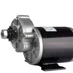 Ϊʲôͬ���ͺŵĵ綯������ĳ��ܲ������˵��أ�