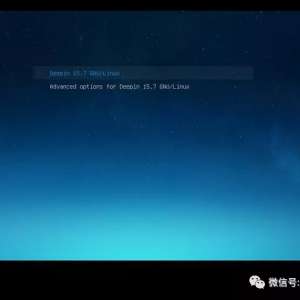 ���޵Ĺ�������ϵͳ�����deepin���������