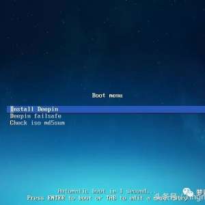 Deepin��װ����������ϵͳ�Ѿ���������á����ã��㲻Ҫ������