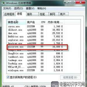 mscorsvwռ��cpu��