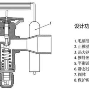 �������ͷ���ѡ�ͣ�����Ķ���
