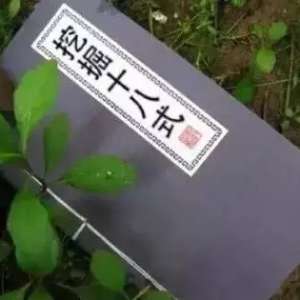 �ڻ�ά��ʦ�����Ӳ��⴫��ά���ؼ�