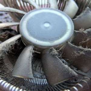 ������������ô�쾭������