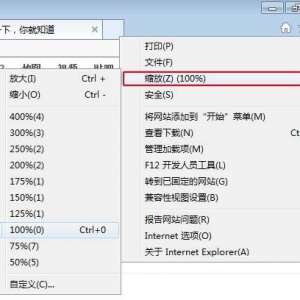 ie����������С����