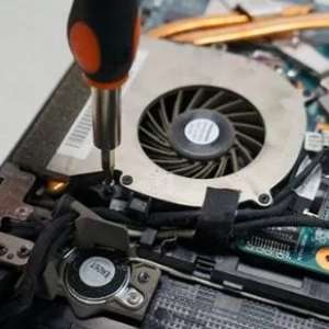 ���Է����������ԭ���Լ����������