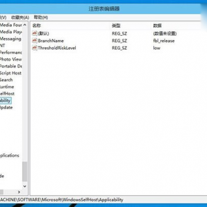win10רҵ��ע����ָ��̳�