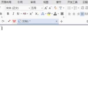 WPS�ĵ���ô����������ƴ�� WPS�ĵ���ô����������ƴ��