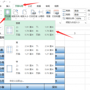 excel 2013 ������Զ���ҳ�߾�