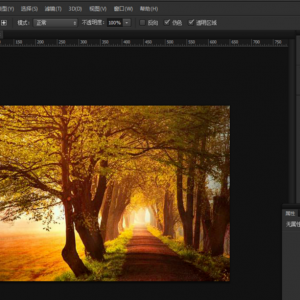 PS��ʷ���ʵľ����÷�����