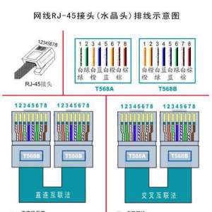 ��������˳��