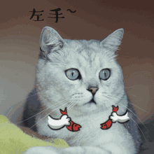 ����û�취����������������ָ����ϵͳ��