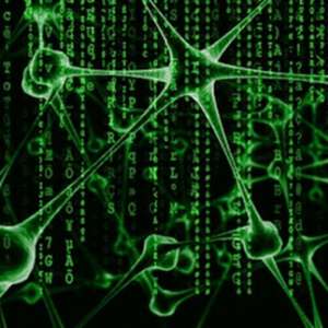 ��������ô������ ��ʶ������������