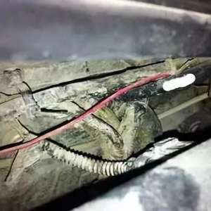 �����յ��������������