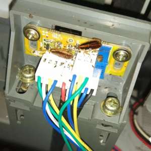 �齫��������Ҫ�Ժͷ���